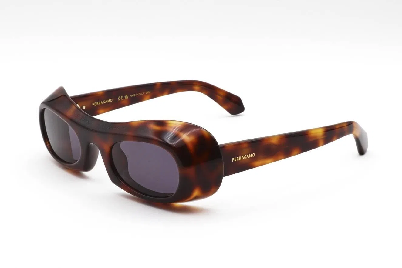 Ferragamo SF2030S Sunglasses - view 16